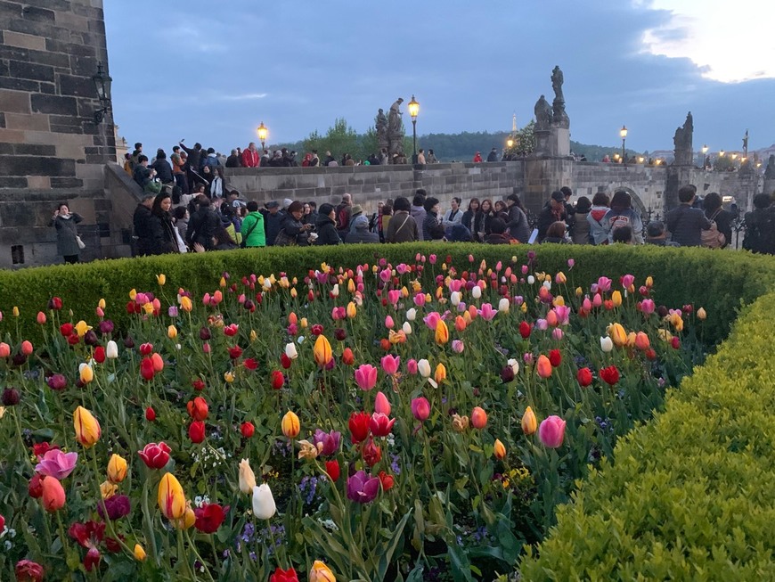 Lugar Charles Bridge