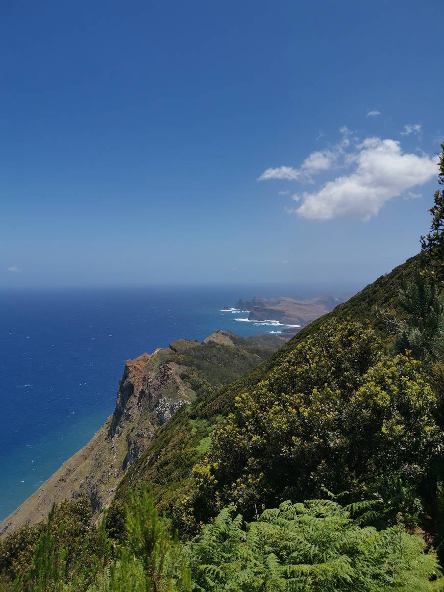 Place Levada do Caniçal - Machico