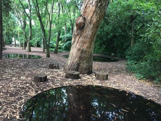 Parque Gulbenkian