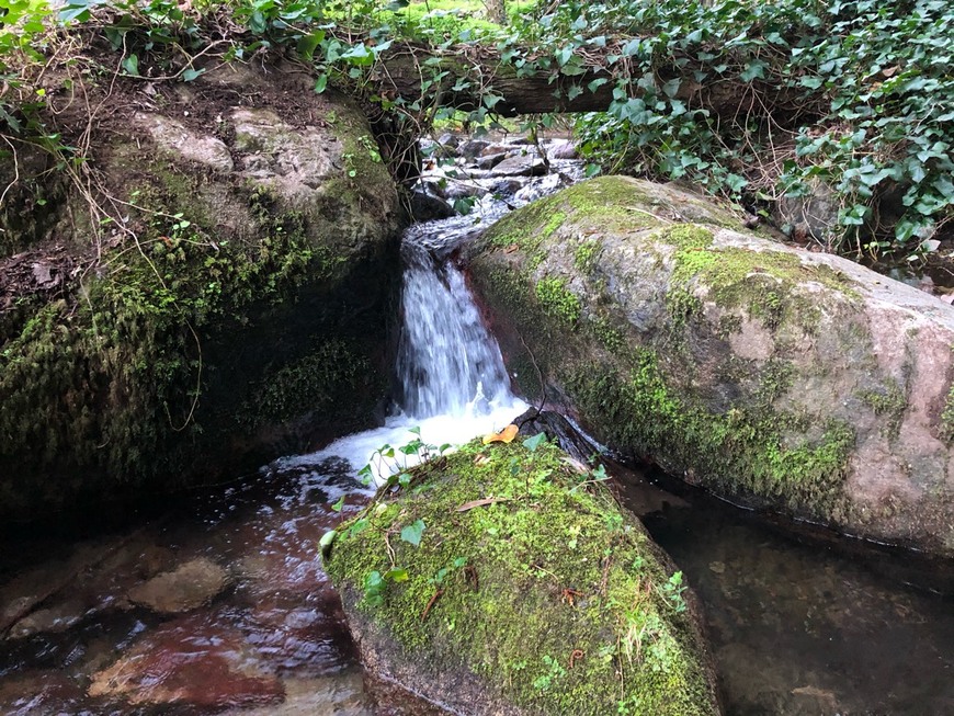 Lugar Parque do Barranco dos Pisoes