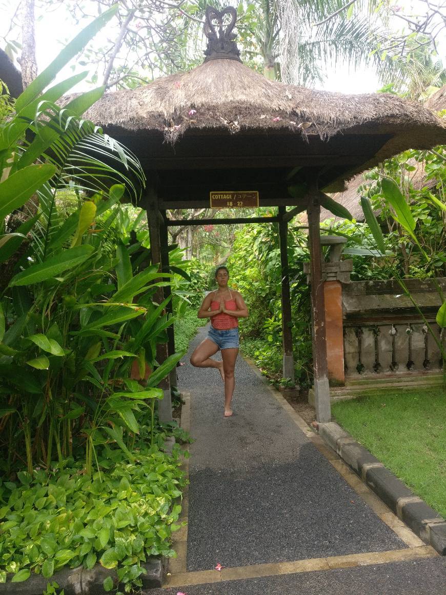 Lugar Bali