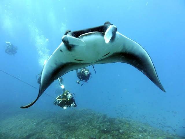 Place Santo Antao Scuba Diving