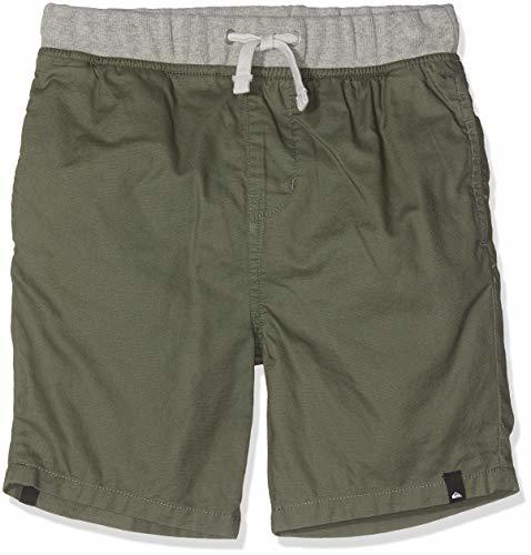 Lugares Quiksilver Seaside Coda Walk Shorts