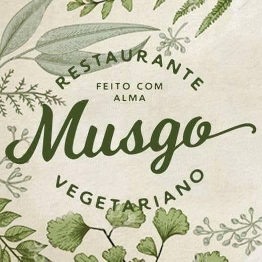 Musgo Aveiro