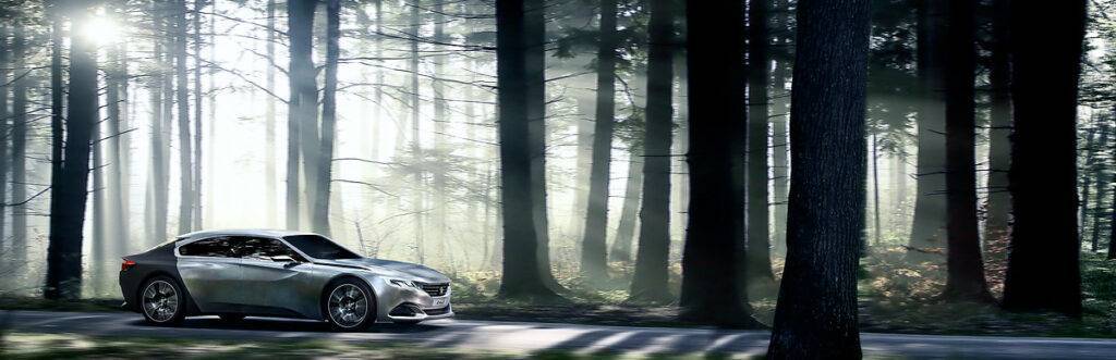 Social Peugeot