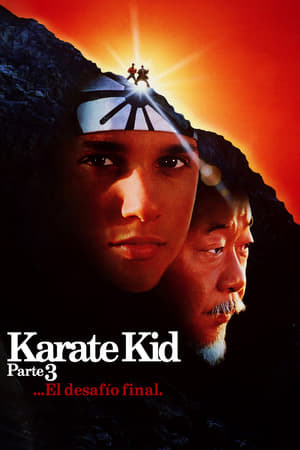 Película Karate Kid III. El desafío final