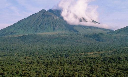 Lugar Virunga National Park