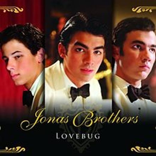 Lovebug - Jonas Brothers