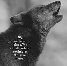 Moda Wolf quotes 🐺