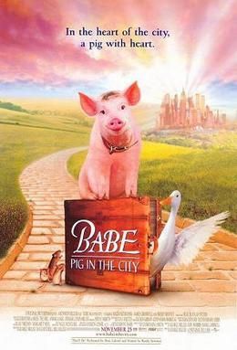 Baby: Pig in City