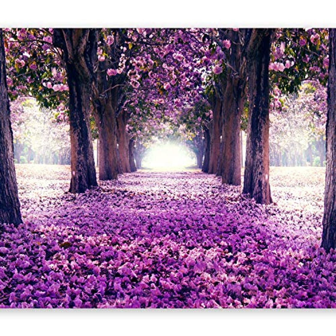 Products murando Fotomurales Flores 350x256 cm XXL Papel pintado tejido no tejido Decoración