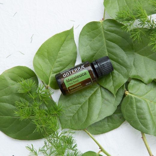 doTerra Melaleuca