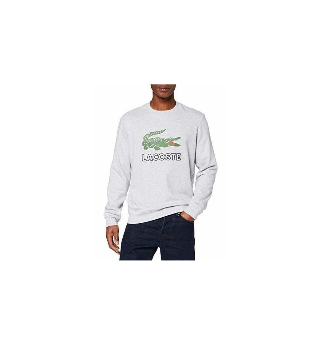 Social Lacoste Sh6382 Sudadera, Gris