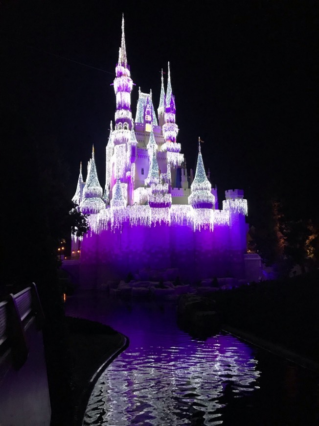 Place Magic Kingdom