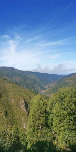 Levadas Madeira | Walking in levadas Madeira Guide - Booking levadas