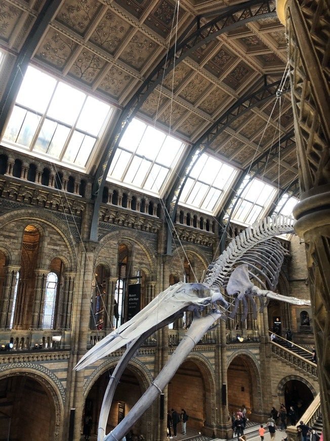 Place Science Museum