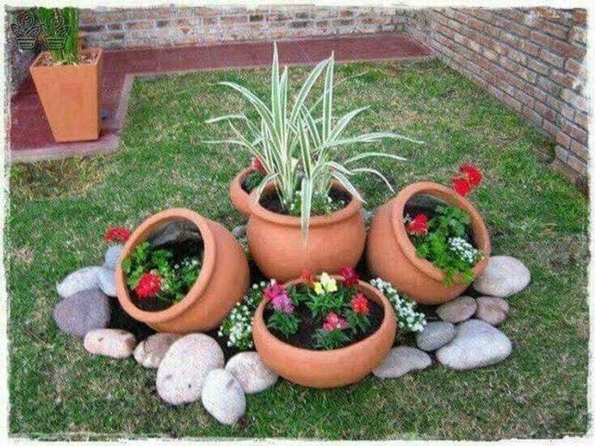 Moda Aprender jardinagem em 5 passos fáceis. 