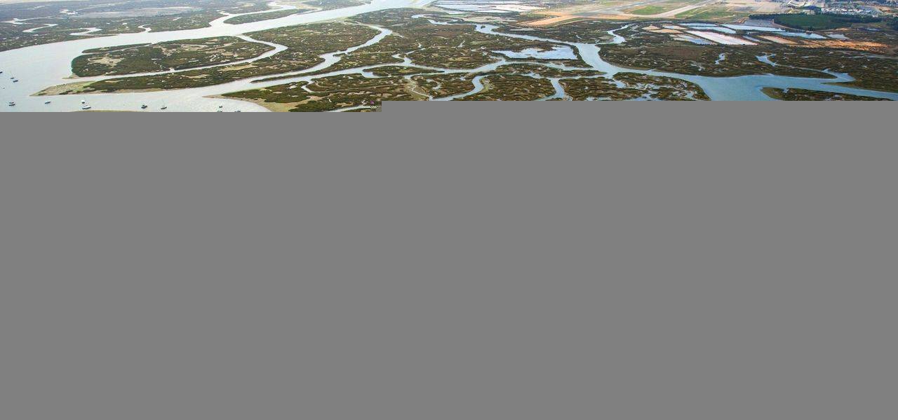 Place Ria Formosa Natural Park