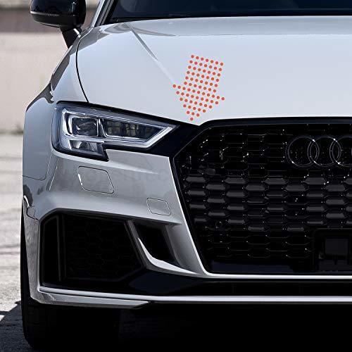 Social Folientechnik Bayer 1055 Adhesivos para Audi A3 S3 RS3 8V Tuning