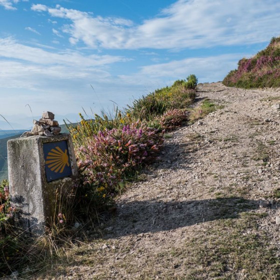 Lugar Camino De Santiago