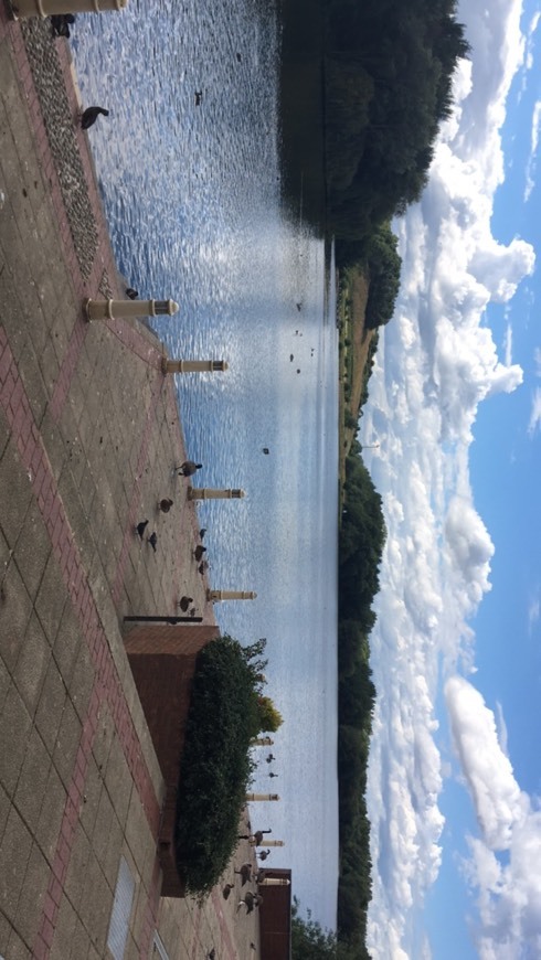 Lugar The Watermead Inn