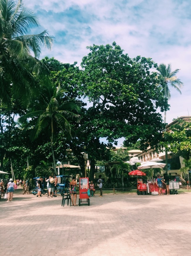 Place Praia do Forte