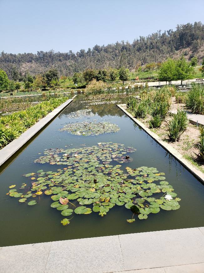 Lugar Parque Bicentenario