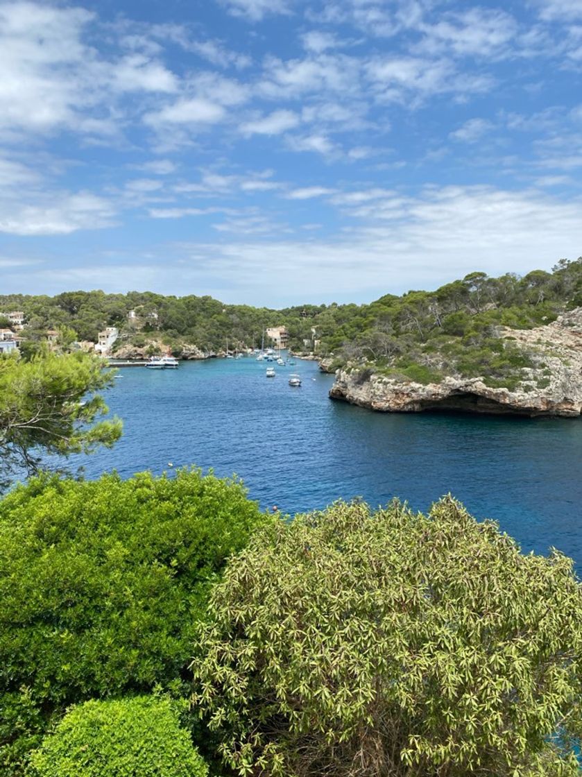 Place Cala Figuera (Santanyi)