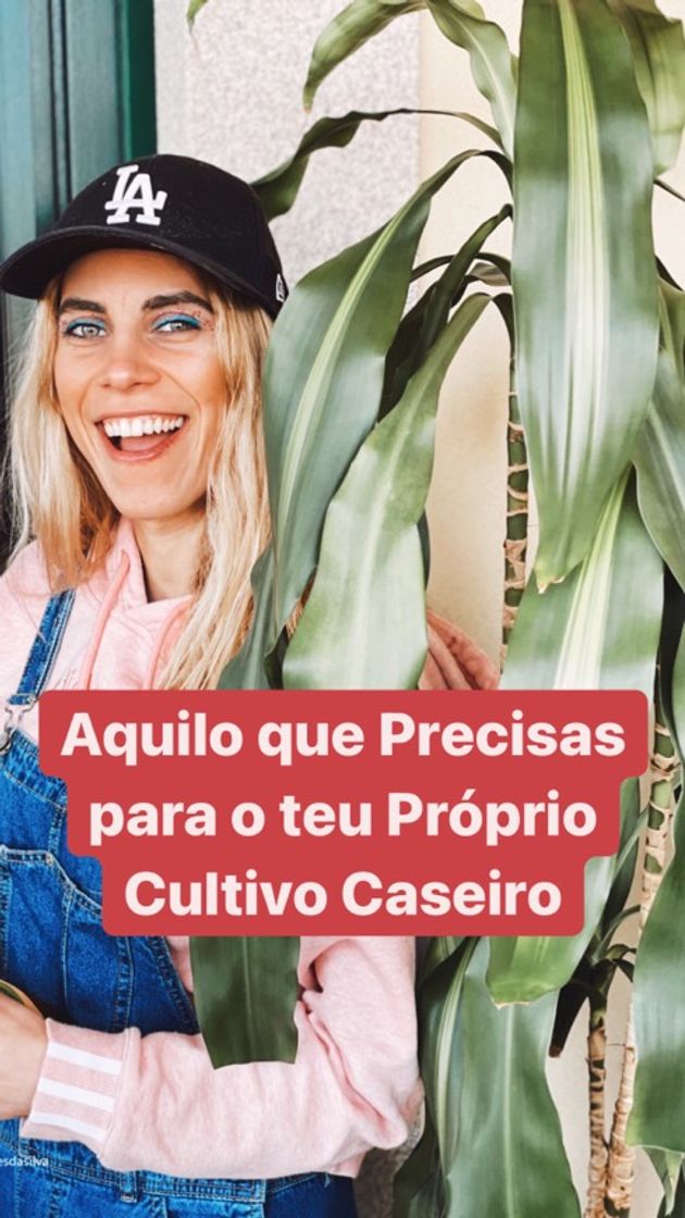 Fashion Aquilo que precisas para o teu próprio cultivo caseiro