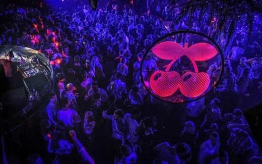 Pacha