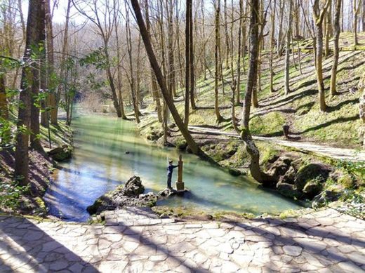 Nacimiento del Río Ebro