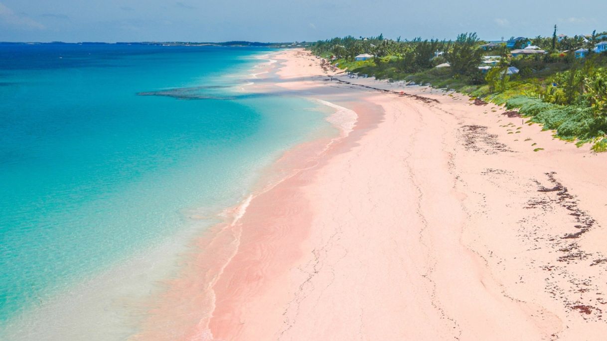 Place Playa de arena rosa Bahamas 