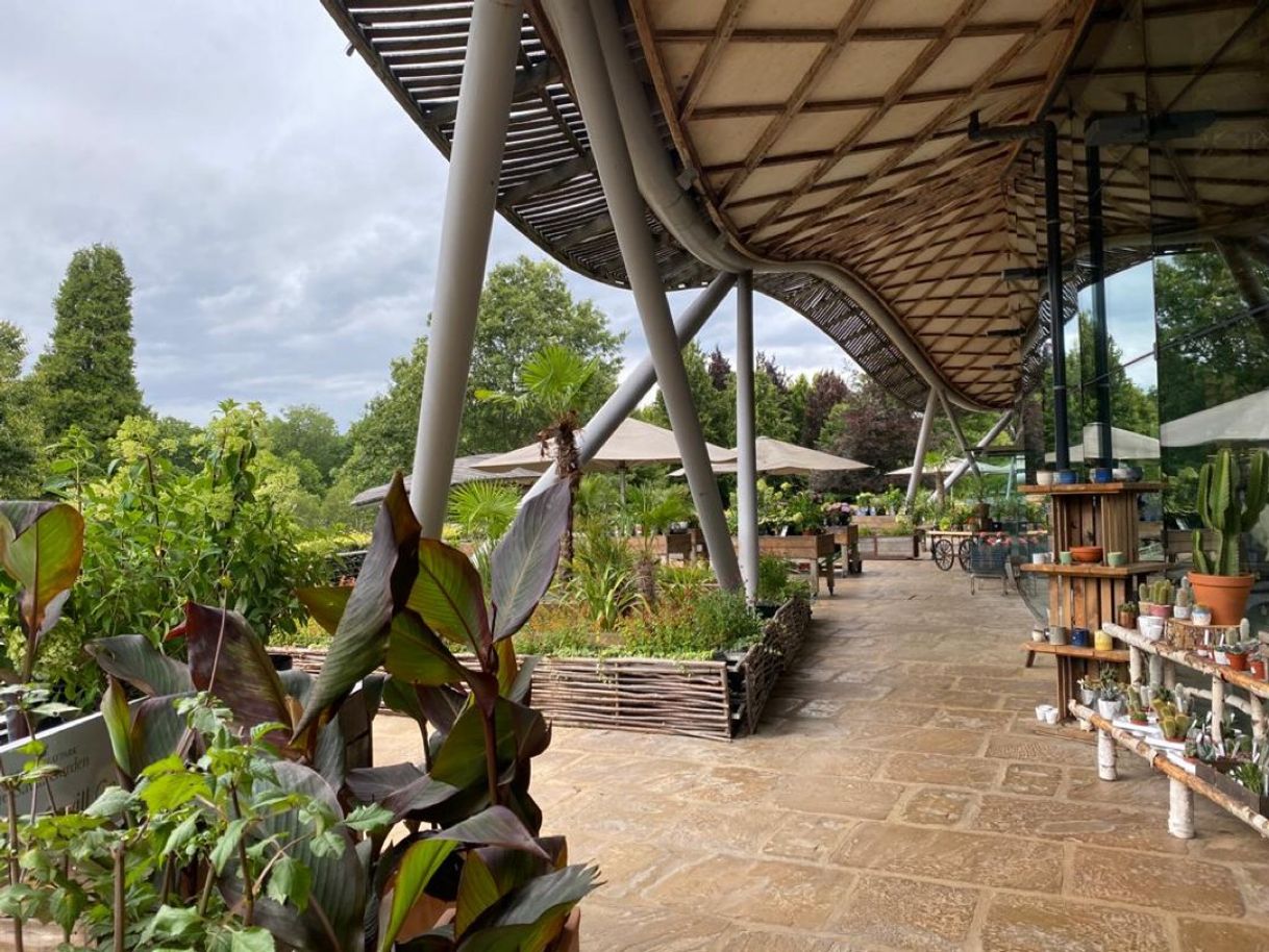 Restaurantes Savill Garden