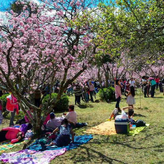 Lugar Parque do Carmo