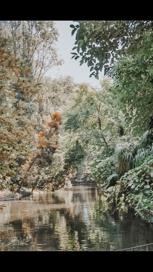 Place Parque de Serralves