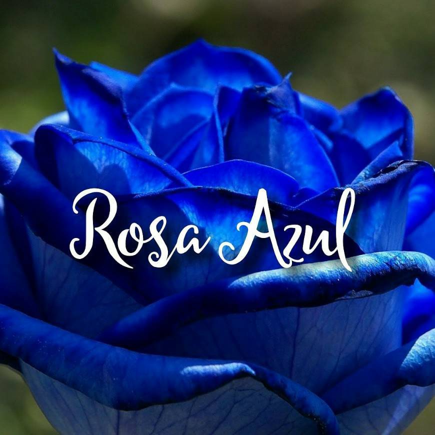 Moda Rosa Azul by Lu