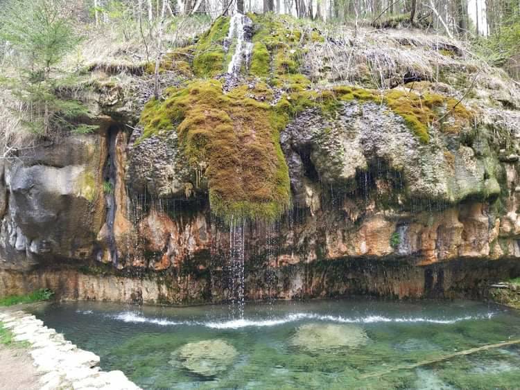 Lugar Mullerthal Cascades