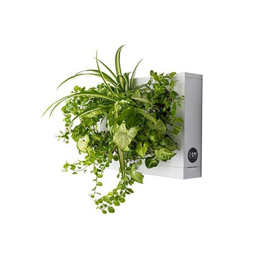 Mini Jardin Vertical Blanco para 6 Plantas con Sustrato Natural Premium e