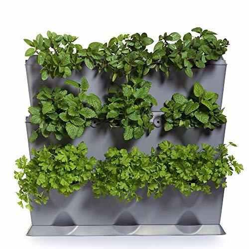 Producto minigarden 1 Juego Vertical para 9 Plantas, Jardín Vertical Modular y Extensible,