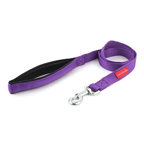 Place DealMux Nylon Cinta de caminhar Thicken Handle Pet Segurança Pet ligação do