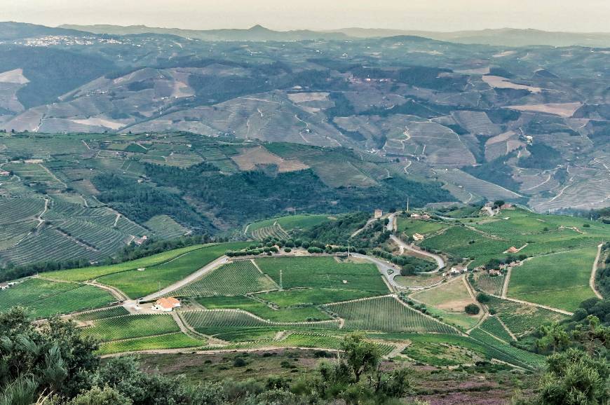 Lugares Ermida de São Domingos de Provesende