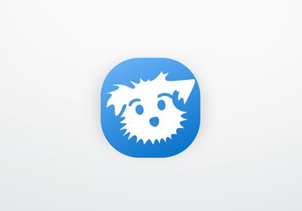 App Yoga | Down Dog