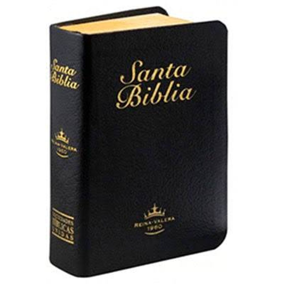 Book Rvr60 Santa Biblia -Edicion Economica Letra Grande