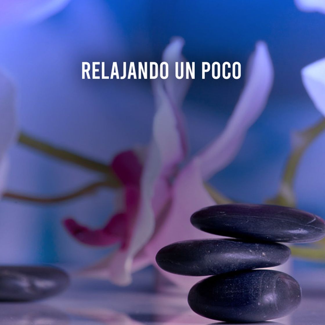 Music Aleluia