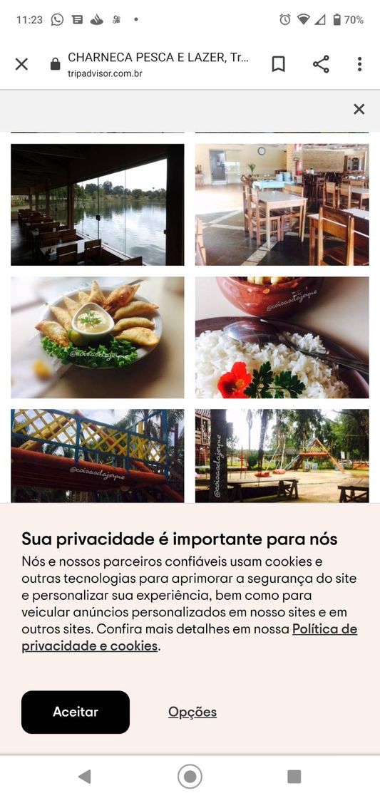 Restaurants Restaurante Charneca Pesca & Lazer