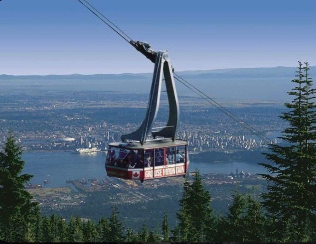 Place Grouse Mountain