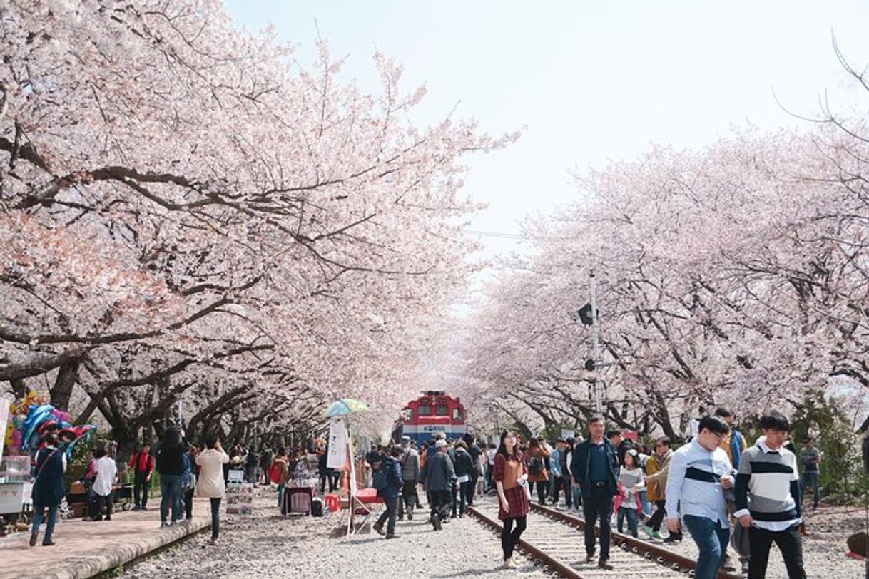 Fashion Festival de Jinhae