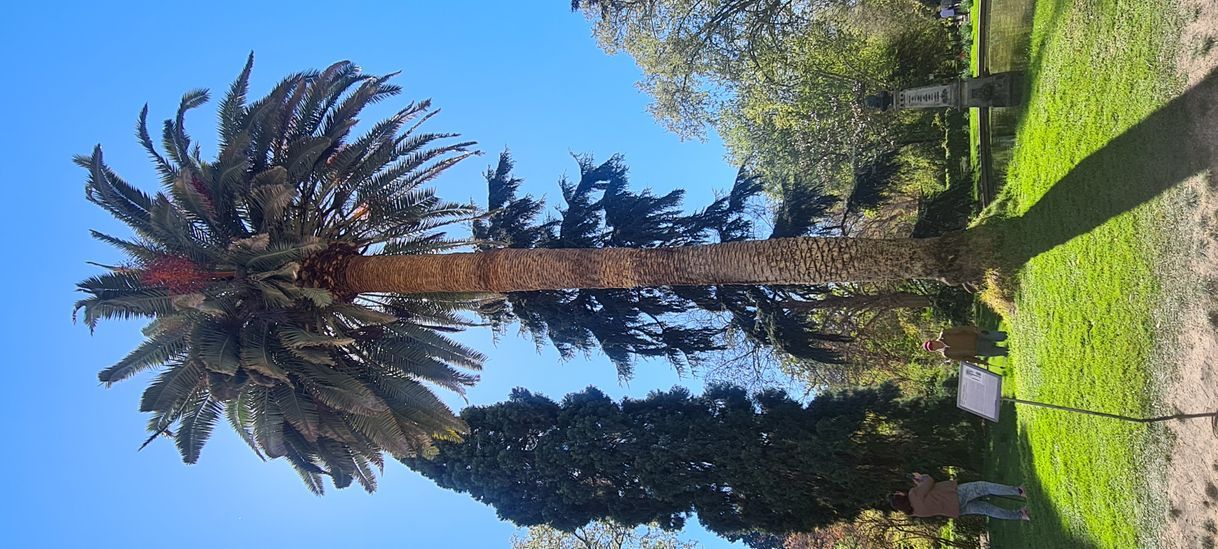 Place Parque de El Retiro