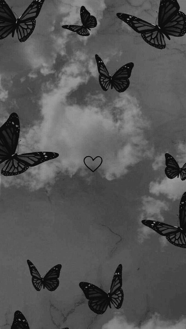 Social Wallpaper pra celular 🍁🦋