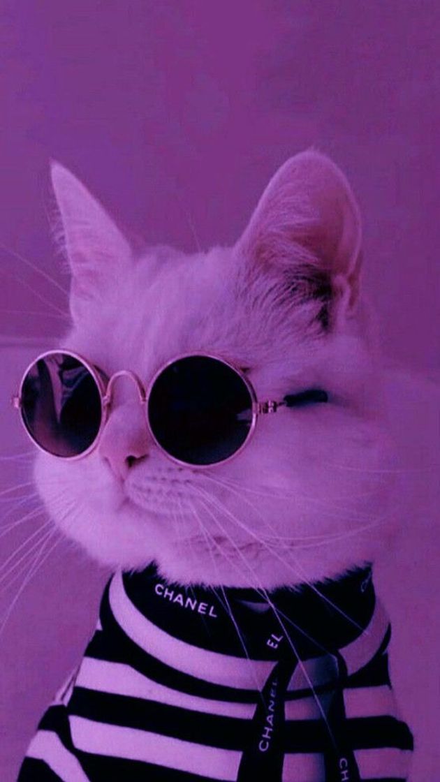 Social Wallpaper pra celular 🦋💖